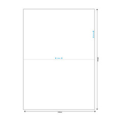 MediaRange Multi-purpose labels, permanent adhesive, 210x148.5mm, white, 100 labels