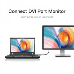 HDMI Male to DVI (24+5) Female Adapter