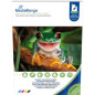 MediaRange Papel fotográfico DIN A4 para impresoras de inyección, brillante por las 2 caras, 160g, 50 hojas