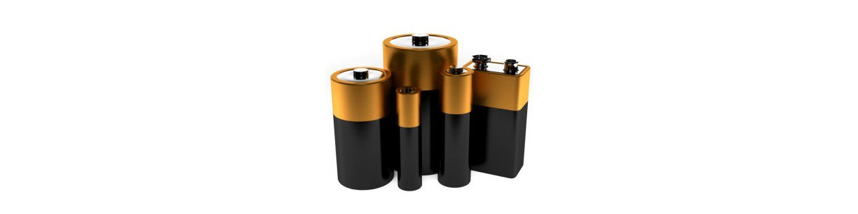 Alkaline and Lithium Batteries | DVDi.fr