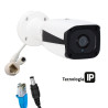IP Cameras